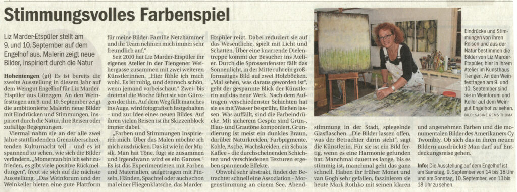 Südkurier 2015