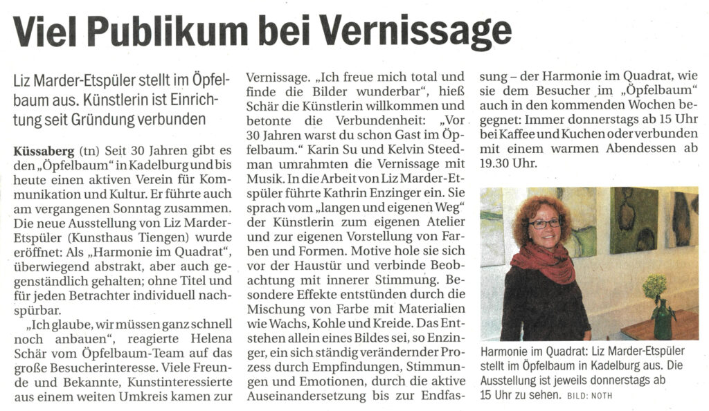 Südkurier 2015